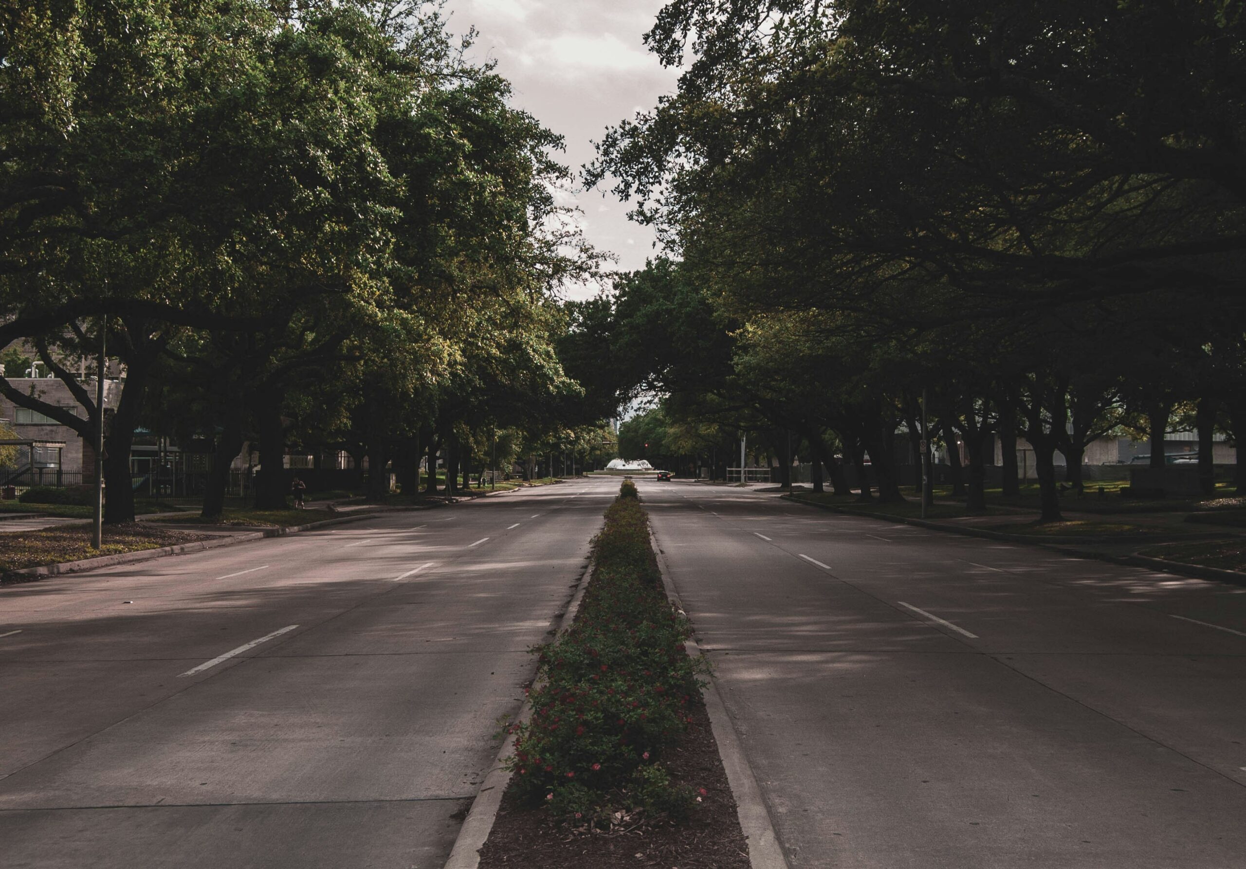 Process and Behavioral Addiction Treatment in Houston