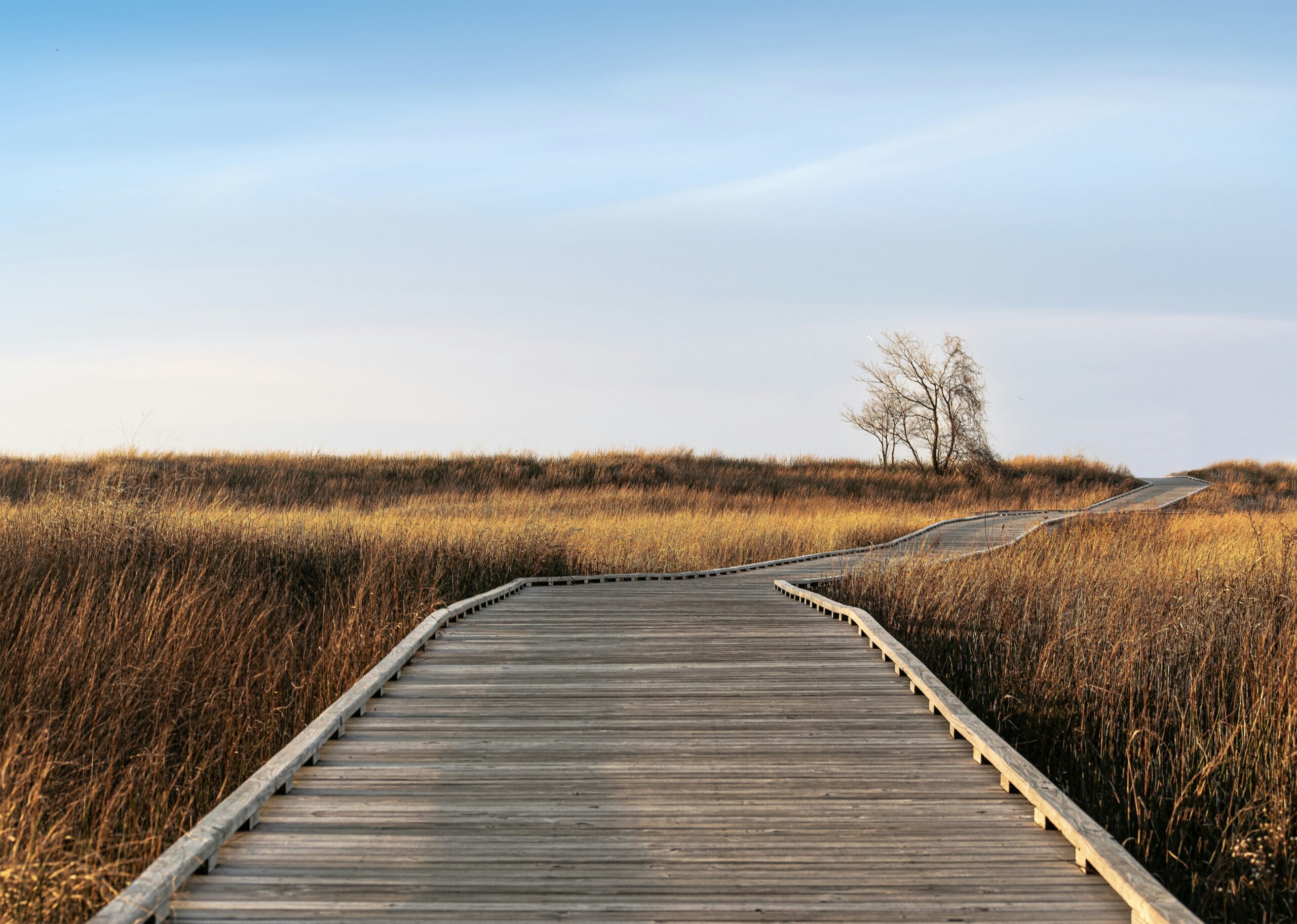 Relapse Prevention in Houston: Building a Plan That Holds